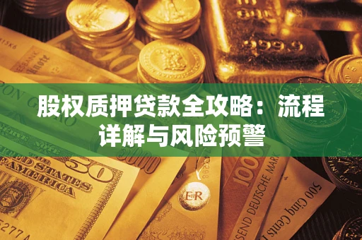 北京股权质押贷款全攻略：流程详解与风险预警