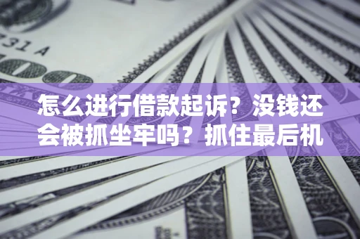 北京怎么进行借款起诉？没钱还会被抓坐牢吗？抓住最后机会！