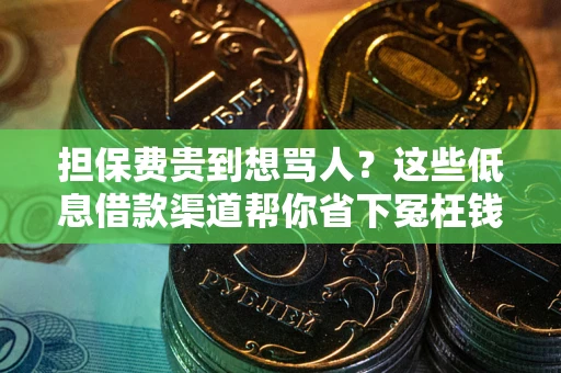 北京担保费贵到想骂人？这些低息借款渠道帮你省下冤枉钱