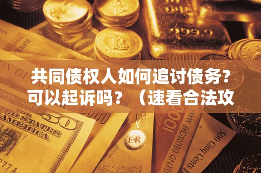 北京共同债权人如何追讨债务？可以起诉吗？（速看合法攻略）
