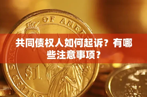 北京共同债权人如何起诉？有哪些注意事项？